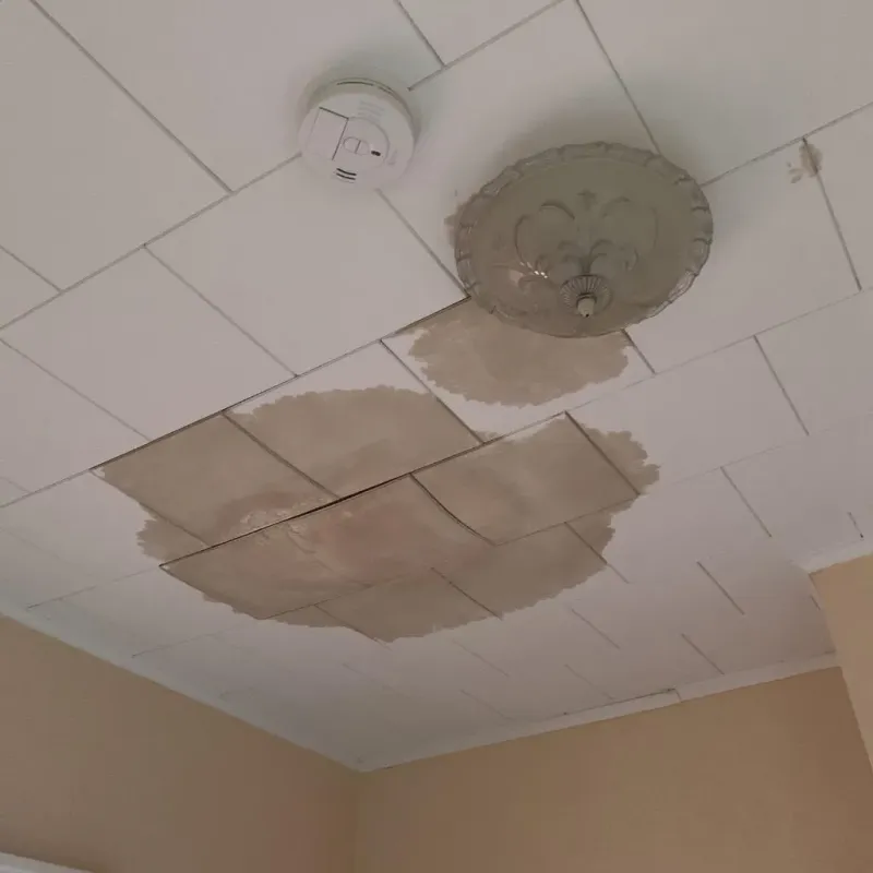 Ceiling Water Damage Repair in Morris, IL