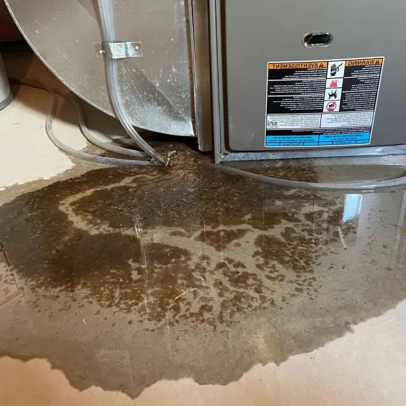 Pipe Burst and Leak Restoration in Morris, IL