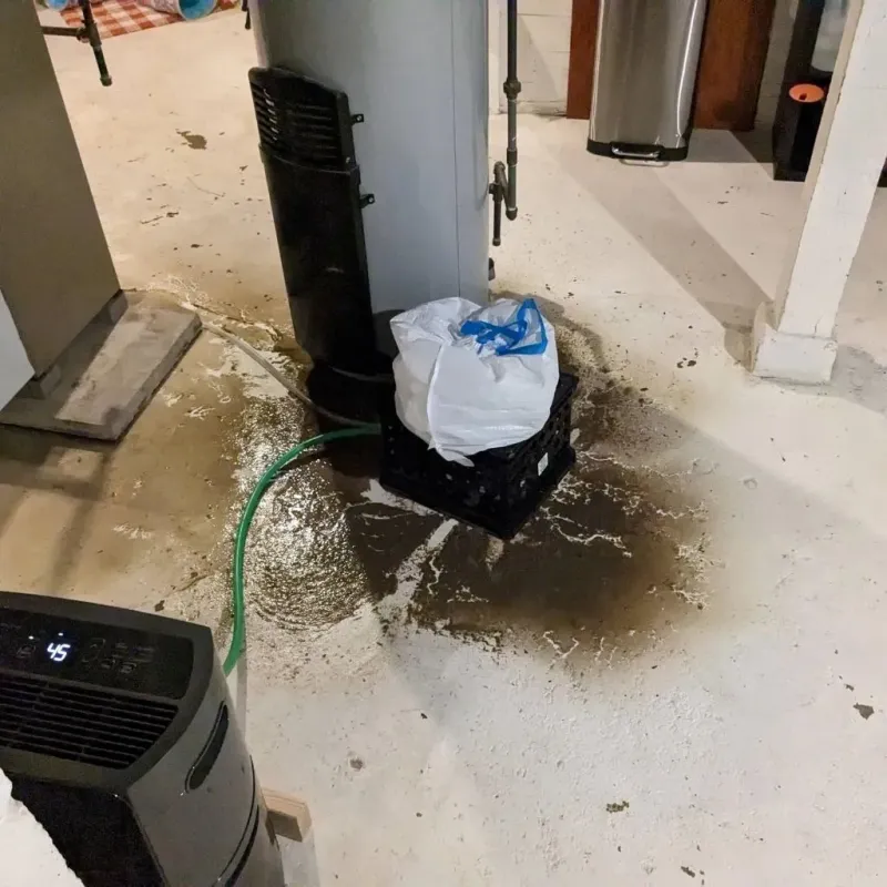 Sewage Backup Cleanup Service in Morris, IL